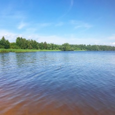 Эко-отель «Юркинский мыс» Нижегородская область Домик на воде, фото 8_7